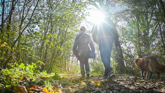 Wandelaars in het Hannecartbos