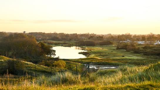 Avondzicht over duinlandschap