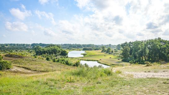 Uitzicht over de natuur vanop de Hoge Blekker