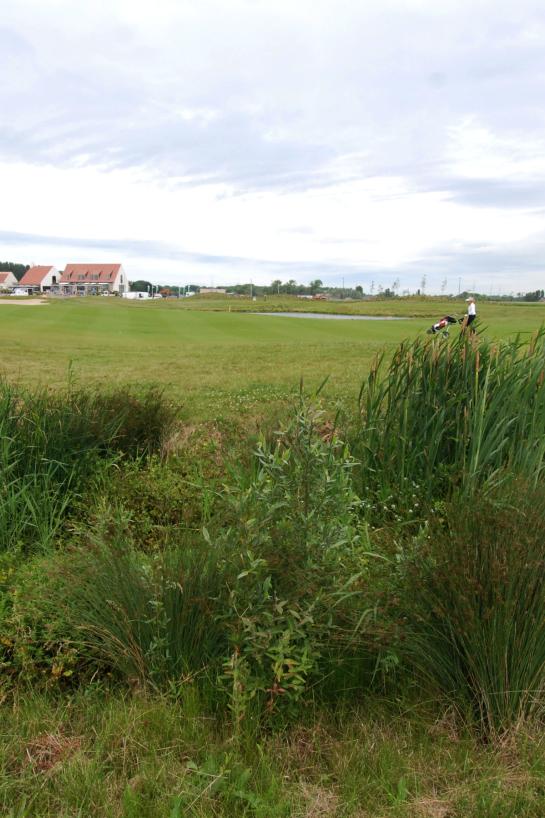 Polderzicht bij golf Ter Hille