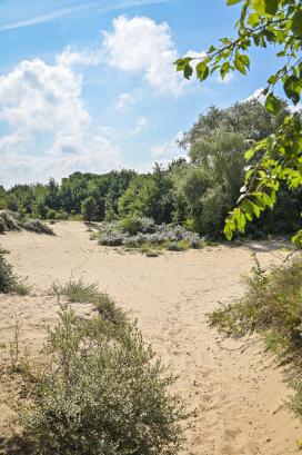 Noordduinen