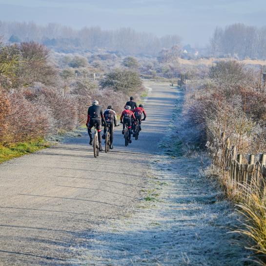 Mountainbikers op het Schelpenpad